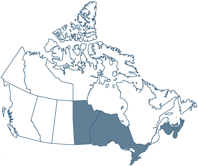 Postdoctoral experience map Canada