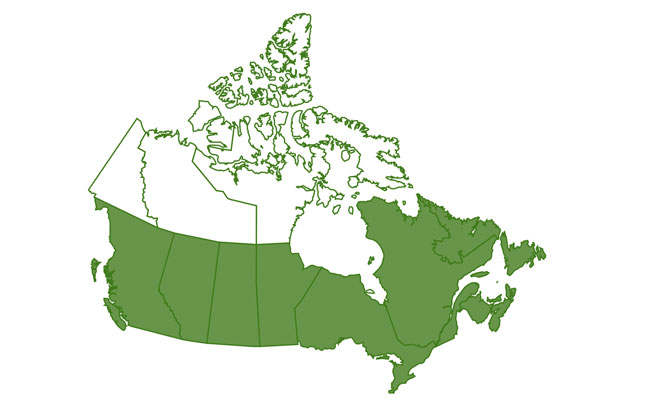 LICENSE TYPE- PSYCHOLOGIST Map Canada